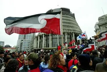 Image: Tino rangatiratanga flags at Parliament