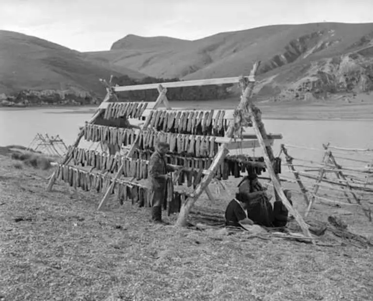 Image: Drying eels