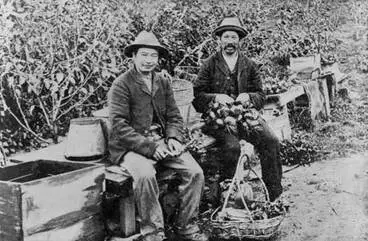 Image: Market gardeners, 1888