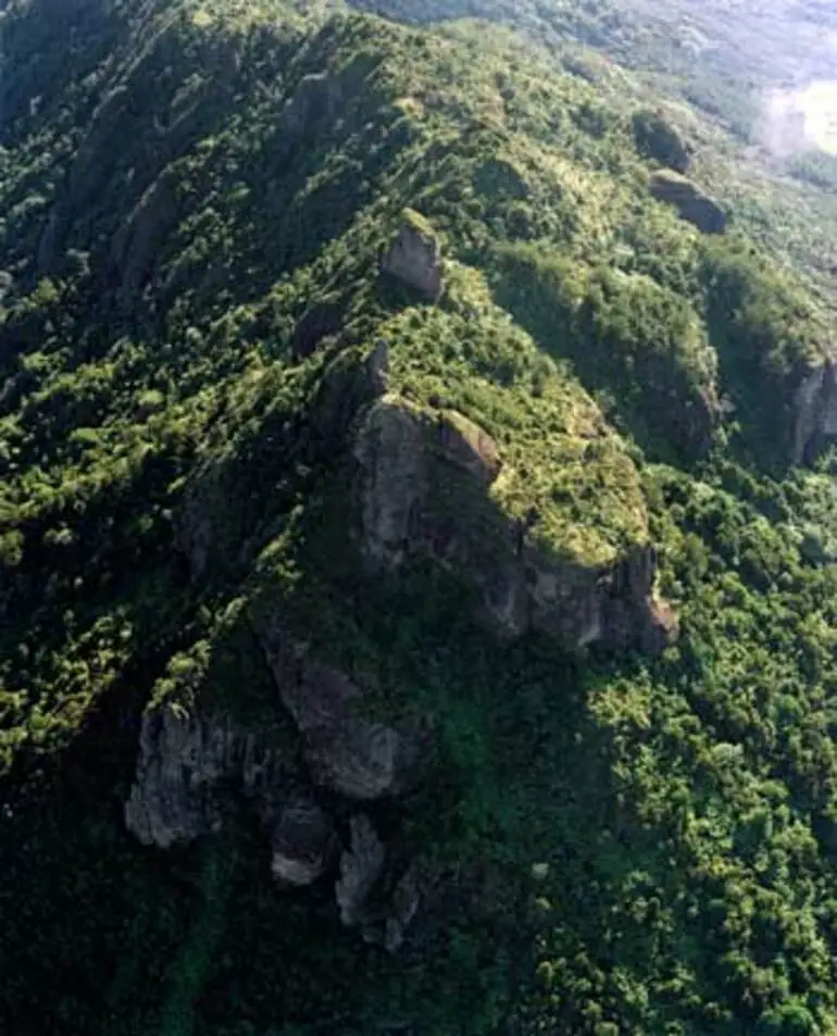 Image: The Kaimai Range