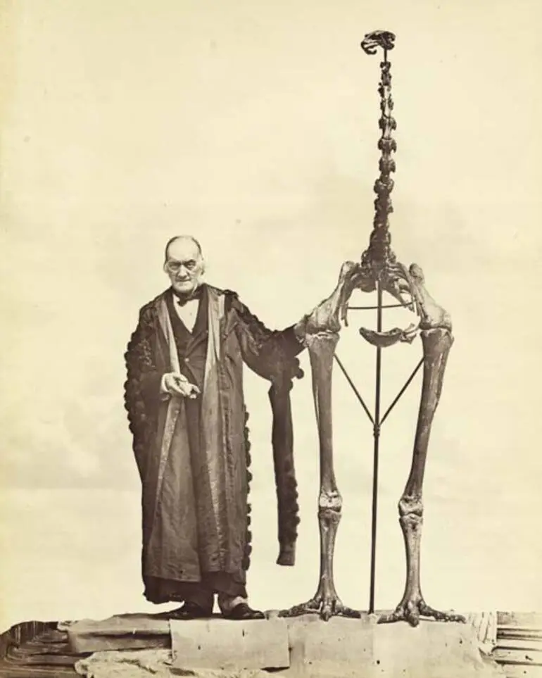 Image: Richard Owen and Dinornis giganteus