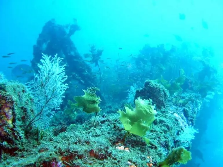 Image: Artificial reefs