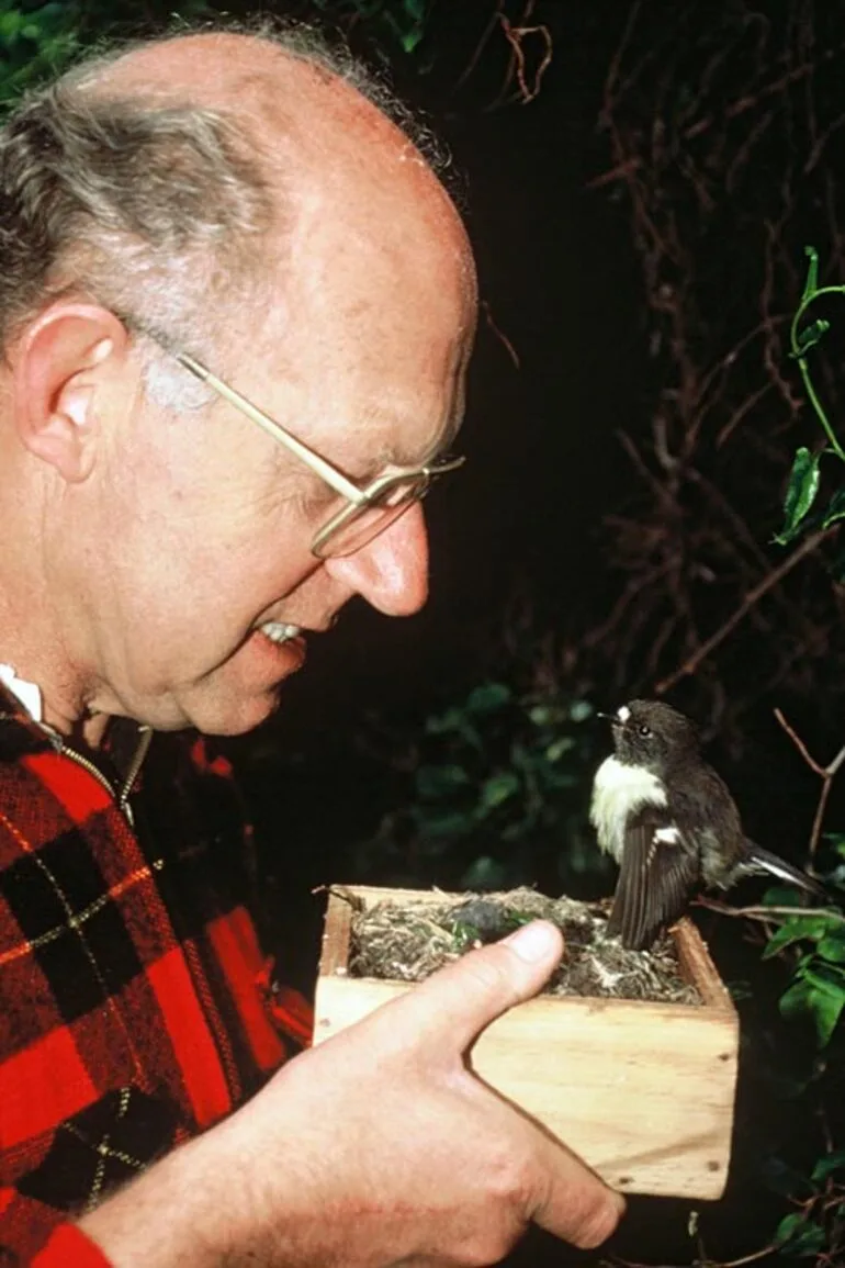 Image: Inspecting black robin eggs