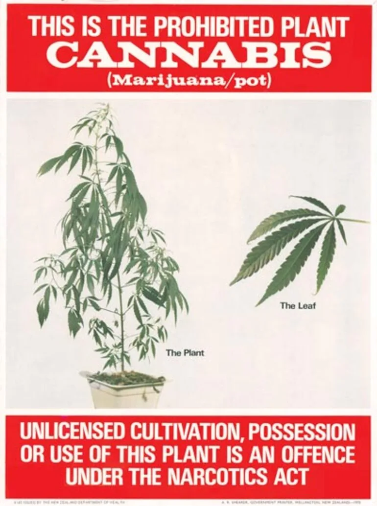 Image: Pot poster