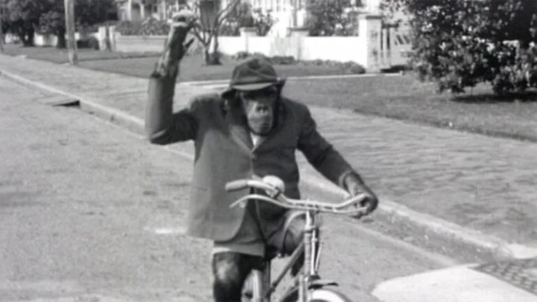 Image: Cycle safety film