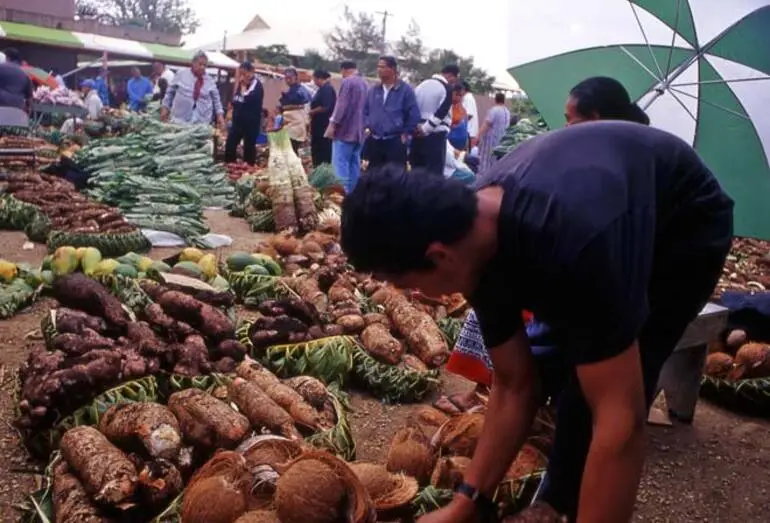 Image: Coconuts and taro, Tongan market, 2002