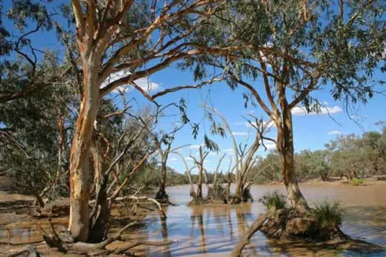 Image: Sub-tropical environment