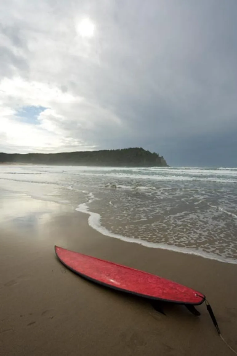 Image: Flax surfboard