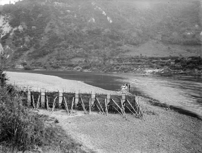 Image: Eel weir, Whanganui River
