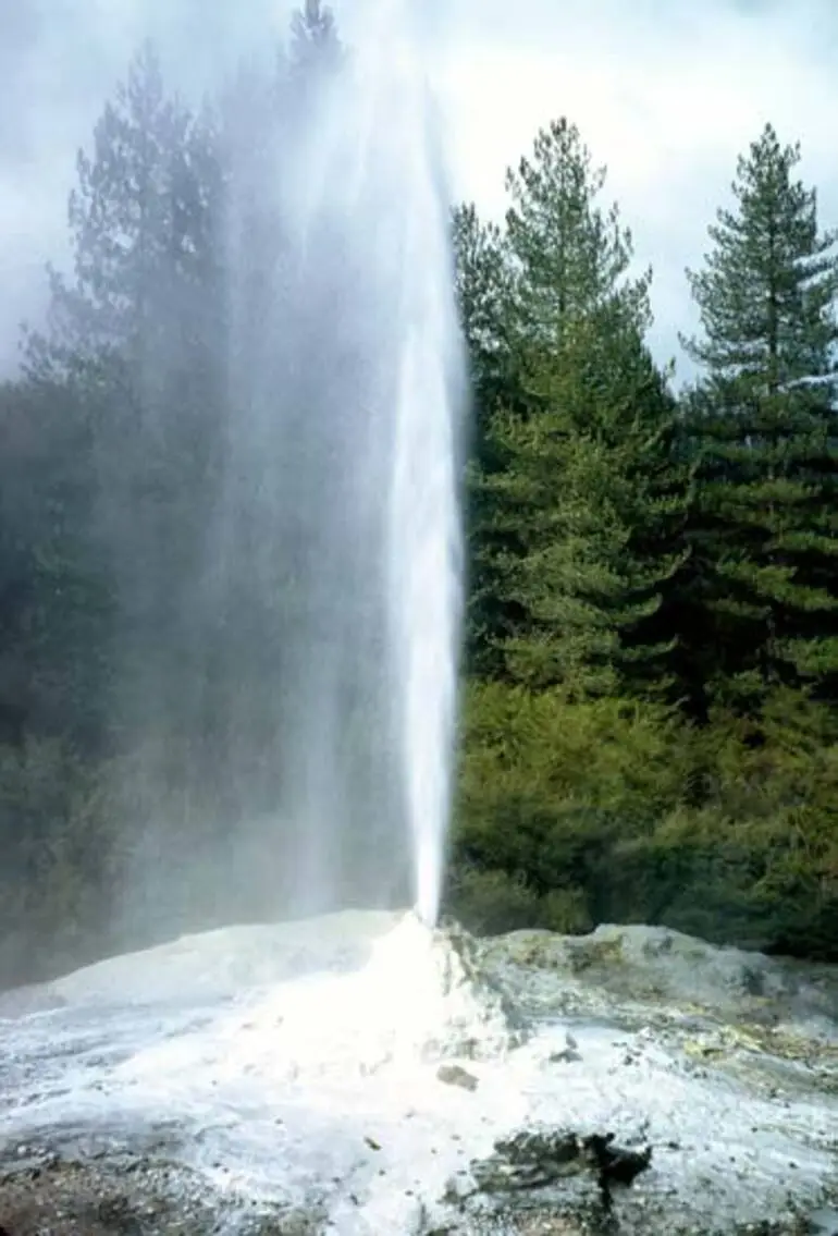 Image: Lady Knox geyser erupting