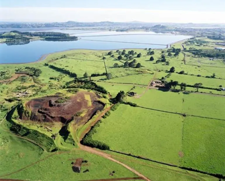 Image: Ōtuataua stonefields, Māngere