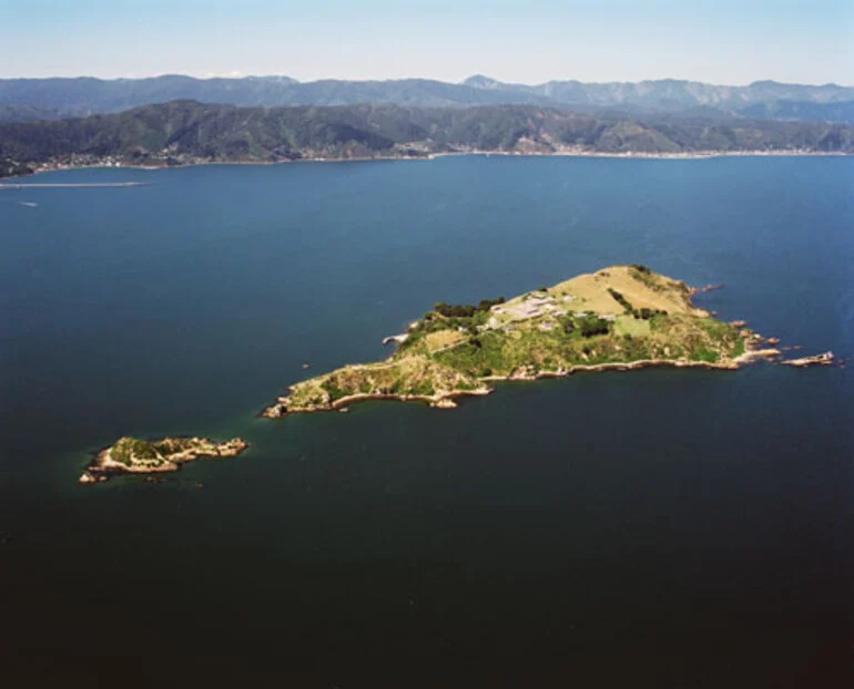 Image: Matiu, Wellington Harbour