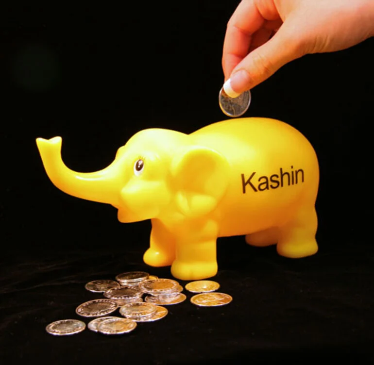 Image: Kashin the elephant