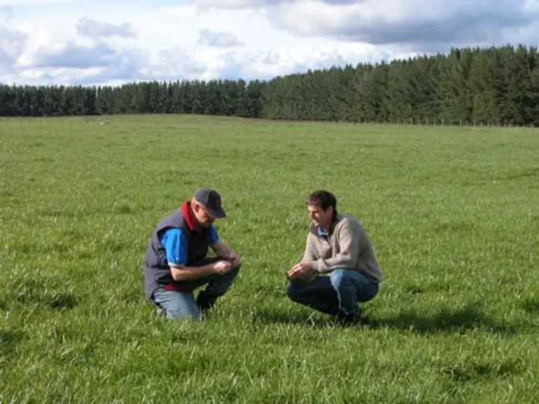 Image: Farm consulting