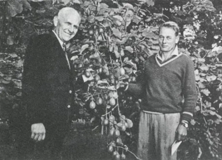 Image: Grahame Bayliss’s Hayward crop