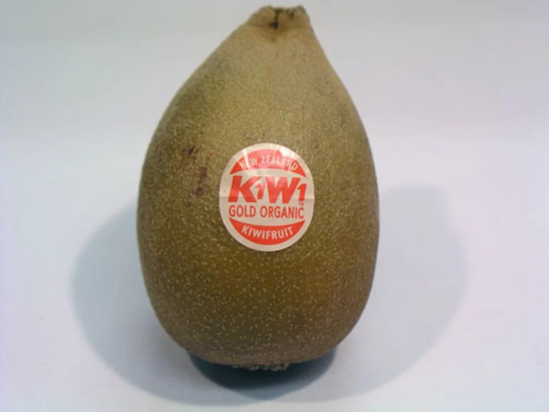 Image: Organic kiwifruit