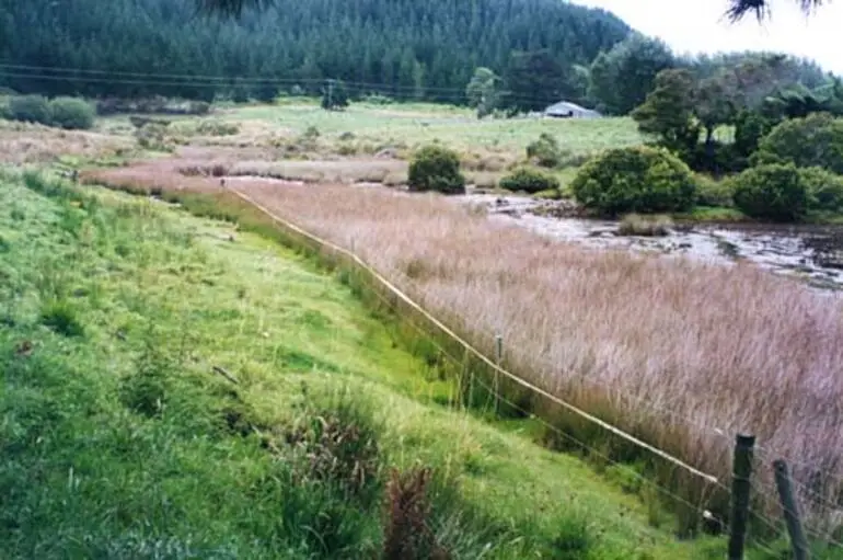 Image: Clean Streams Accord