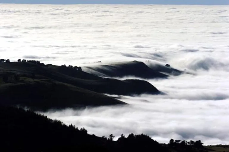 Image: Fog, Otago coast