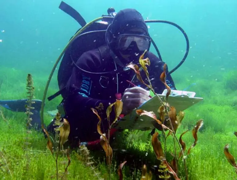 Image: Scientific investigation