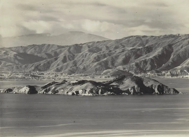 Image: Matiu / Somes Island