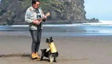 Image: Two dogs, one ukulele, and the extraordinary man who played it