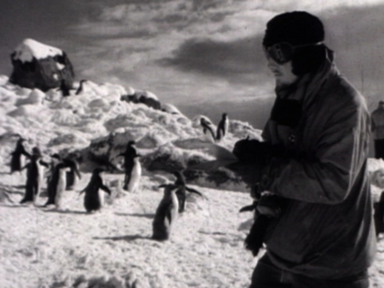 Image: Antarctic Adventure