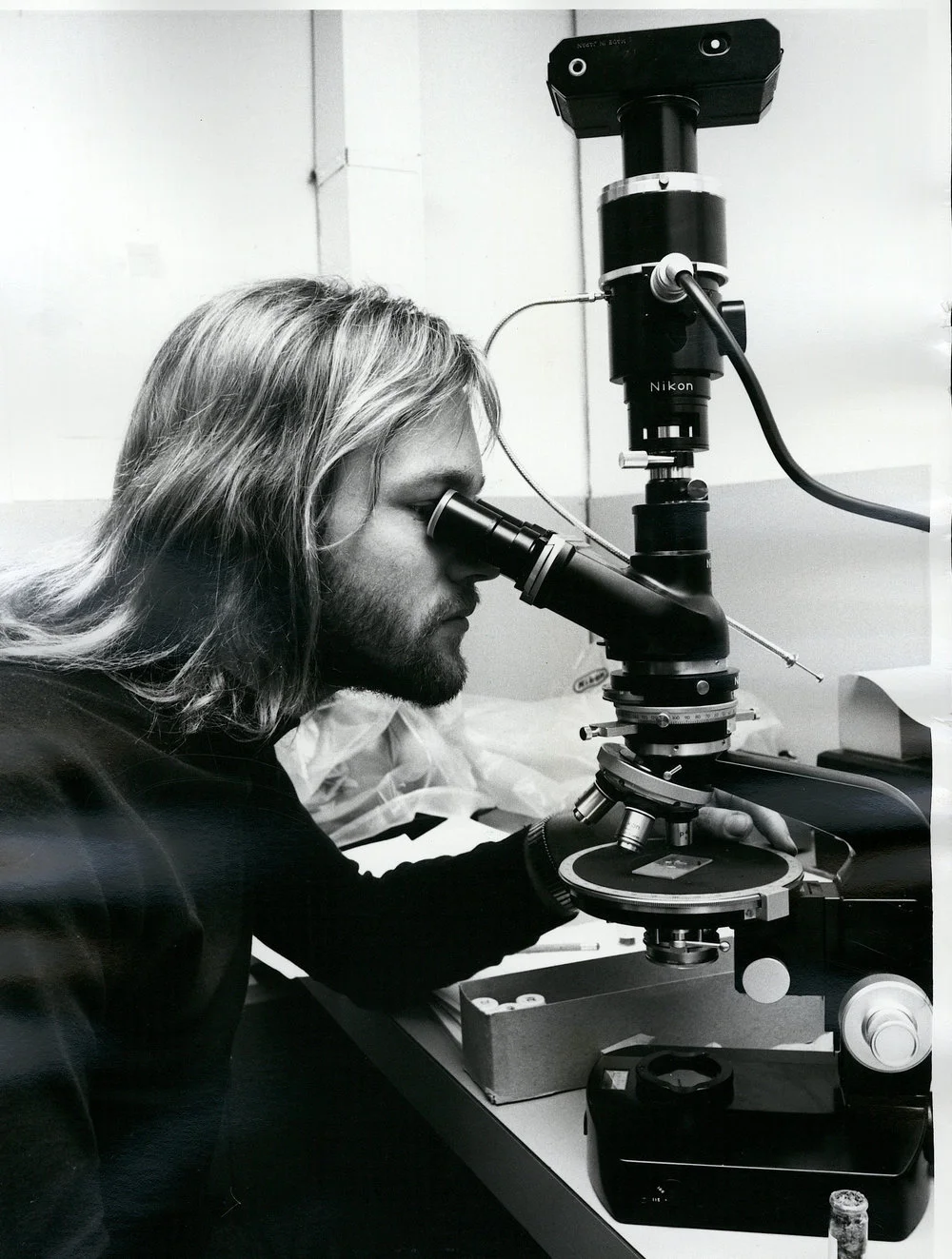 Fossil and mineral identification on core samples