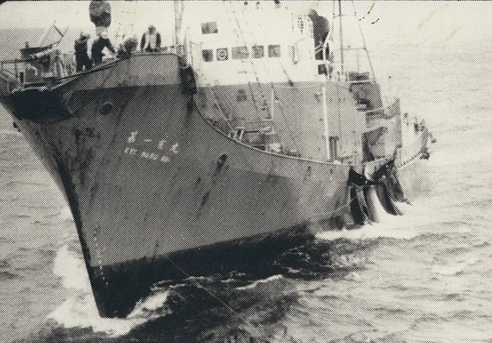 Japanese whaling vessel in Antarctic waters