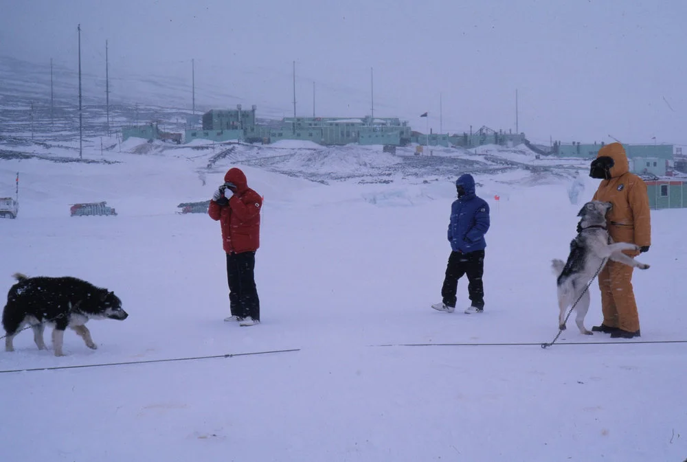 Japanese VIPs photographing the dogs