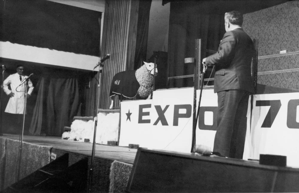 Heretaunga College hall; Godfrey Bowen demonstrating his trained sheep, 1970. [P2-557-1218]