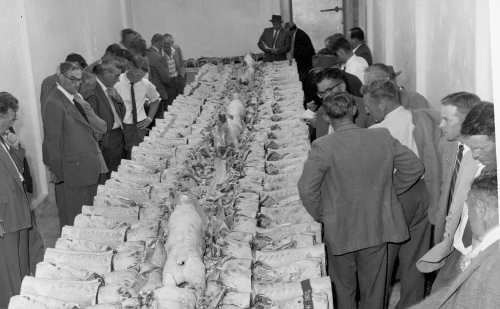 A & P show 1961; jointed carcasses for competition, with competitors and judges.