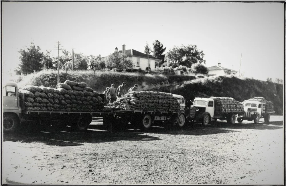 Farm produce at Katikati