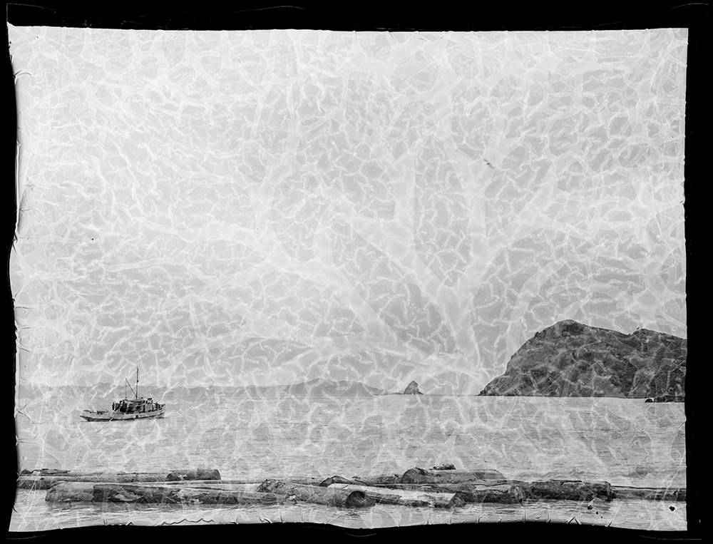 Timber industry Record DigitalNZ