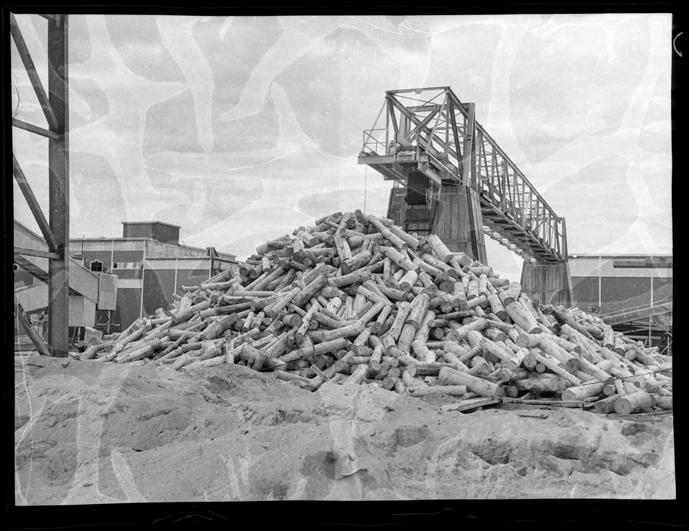 Tasman pulp and paper mill, Kawerau Record DigitalNZ