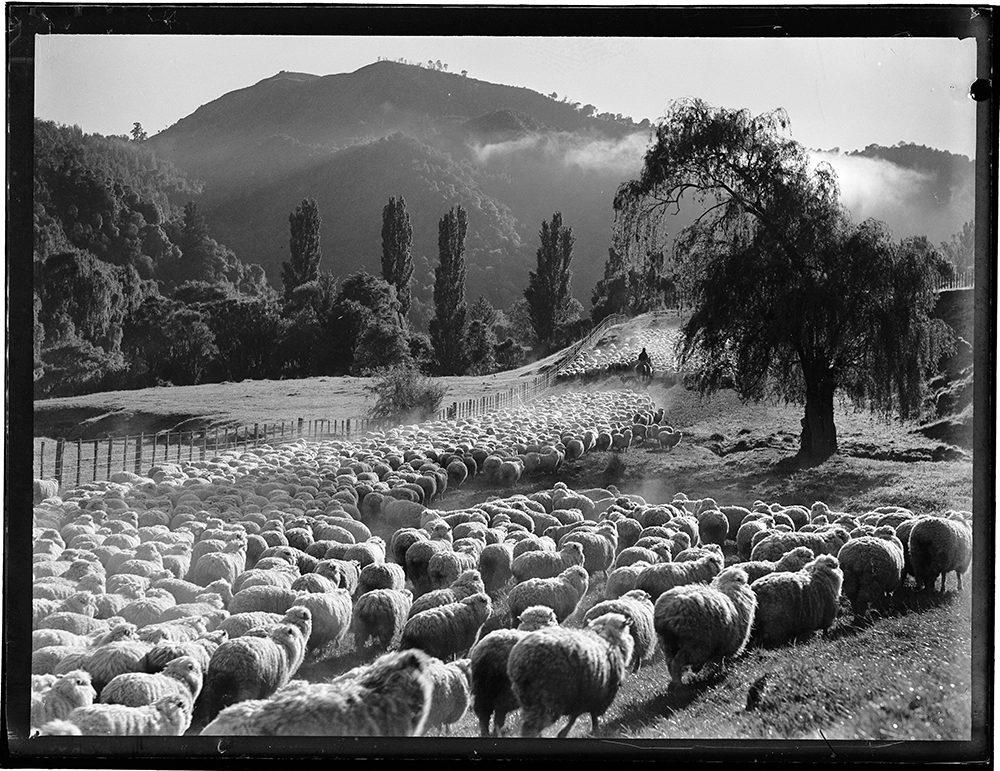 Ruakituri Valley Poverty Bay East Coast trip Record DigitalNZ