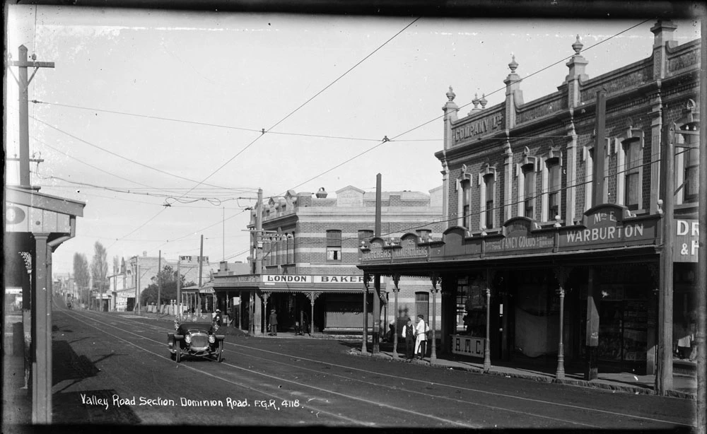 Valley Road Section, Dominion Road FGR 4118 Record DigitalNZ