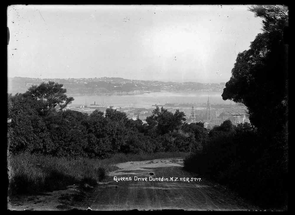Queens Drive. Dunedin. N.Z. F.G.R. 5717. Record DigitalNZ