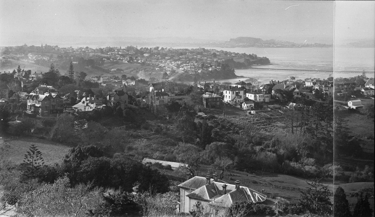 Looking north west from Mount Hobson...1921 Record DigitalNZ