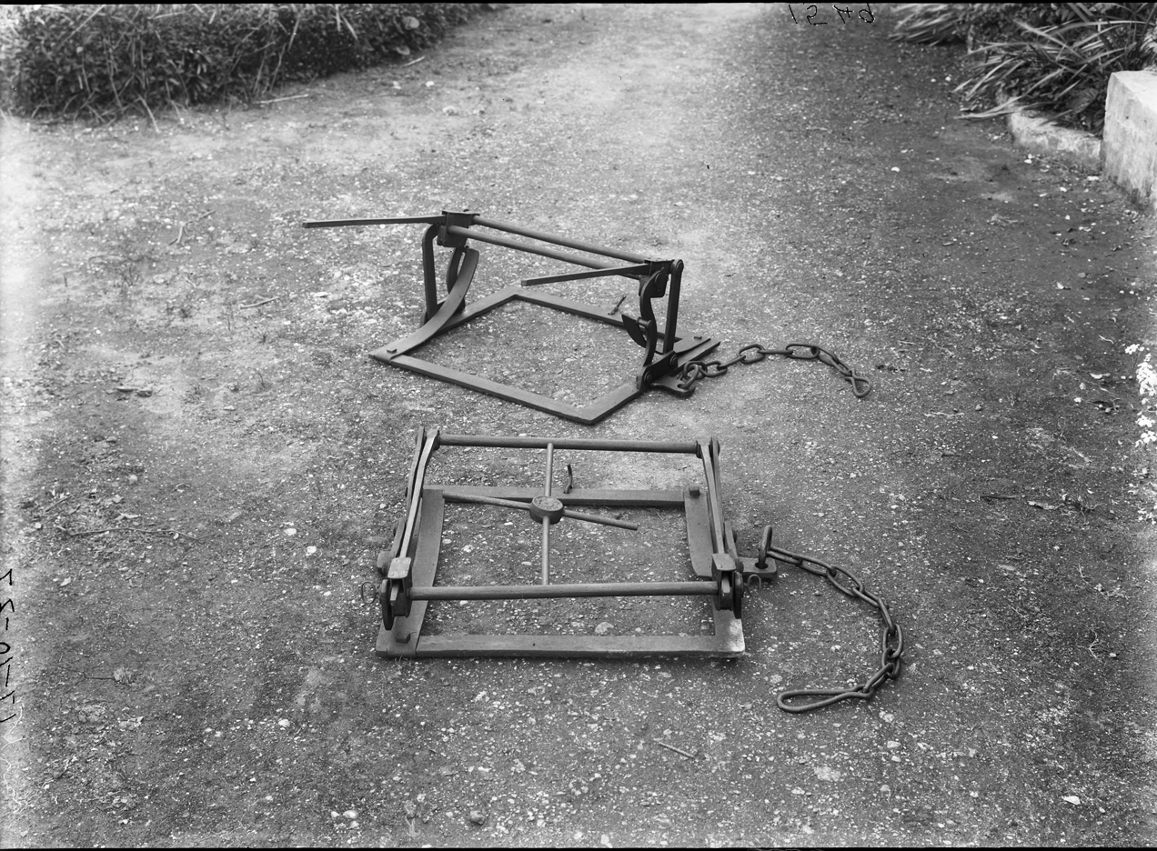 A view of the humane man trap, set and sprung