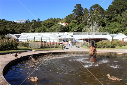 Begonia House and Lady Norwood Rose Garden, Wellington Botanic Garden