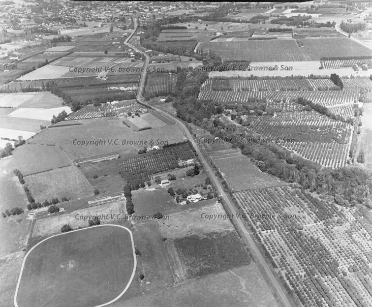 Orchards Napier Road towards Havelock North... (Nap145/28