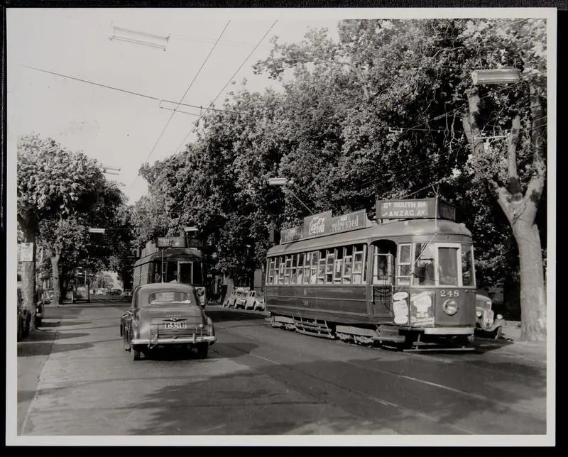 Tram 248 with tram behind and car on tree lined street | Record | DigitalNZ