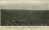 Gibber plain near Oodnadatta, South Australia, 1916