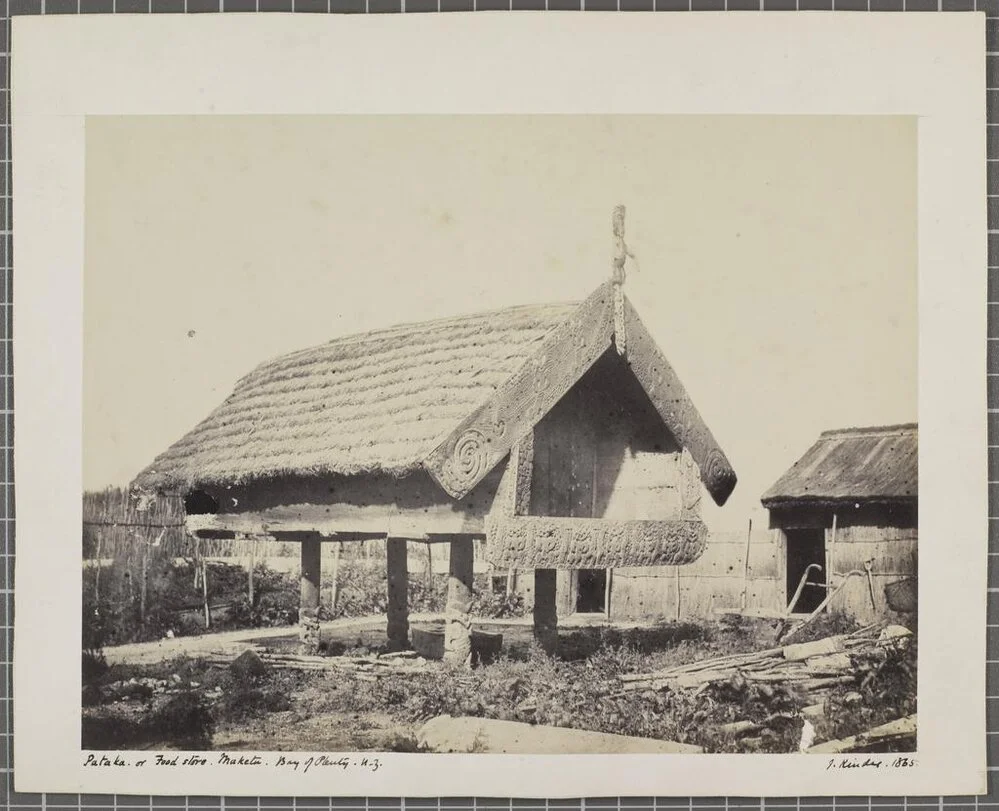 Pataka or Food store, Maketu, Bay of Plenty, N.Z. | Record | DigitalNZ