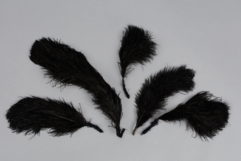 Headwear, Black ostrich feathers Record DigitalNZ