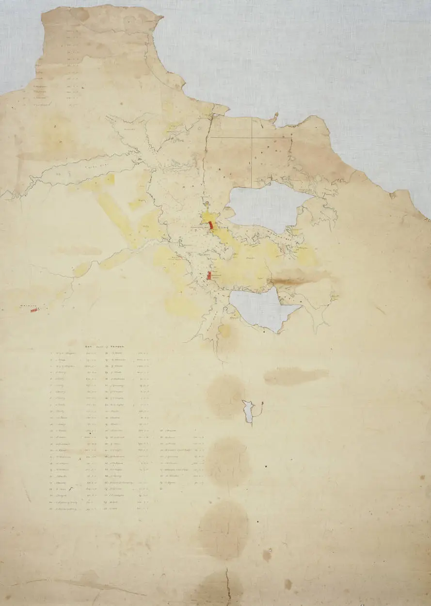 Map of Bay of Islands showing allotments