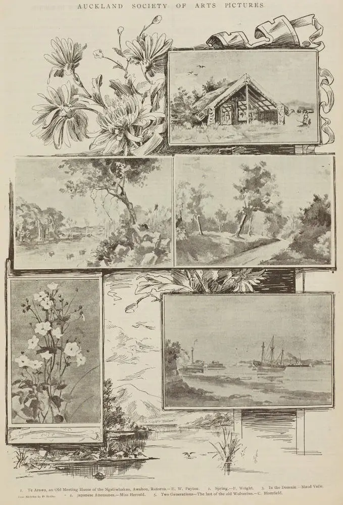 Auckland Society of Arts pictures