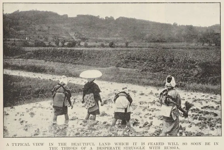 A typical view in the beautiful land which it is feared will so soon be in the throes of a desperate struggle with Russia