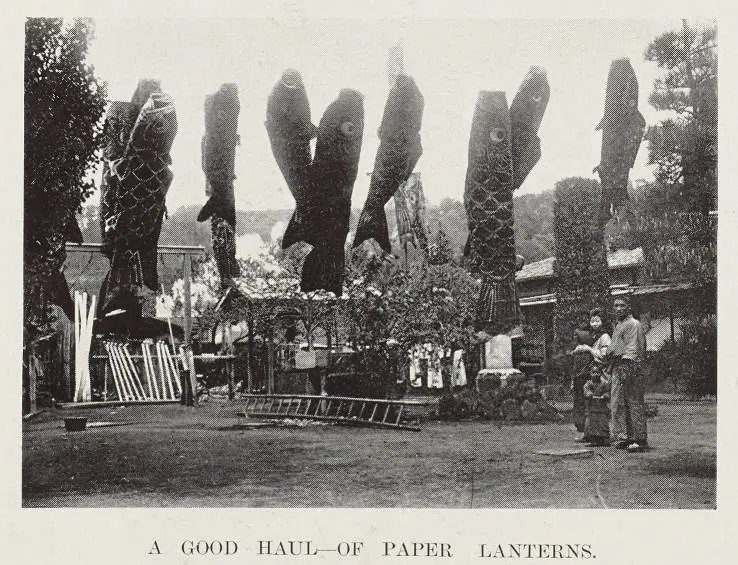 A good haul - of paper lanterns