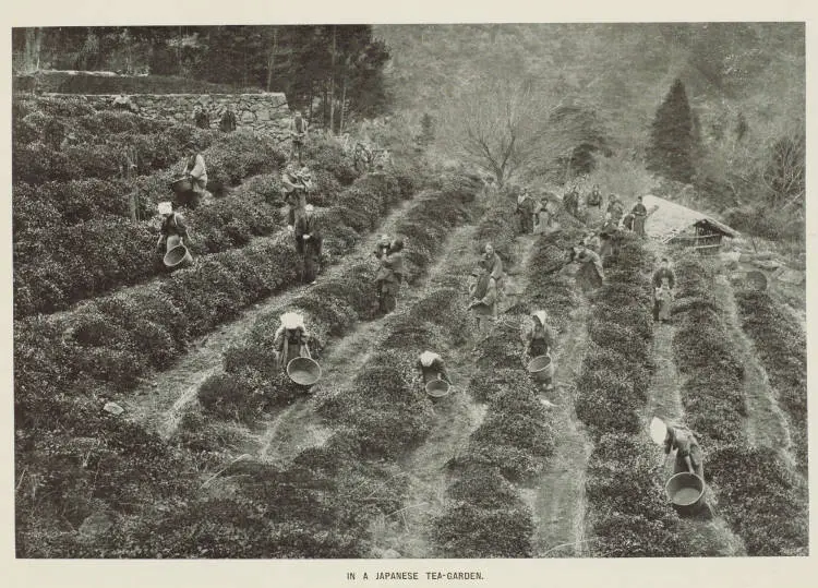 In a Japanese tea-garden